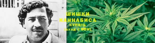 СК Коряжма