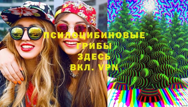 меф Корсаков