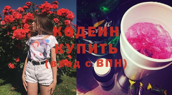СК Коряжма