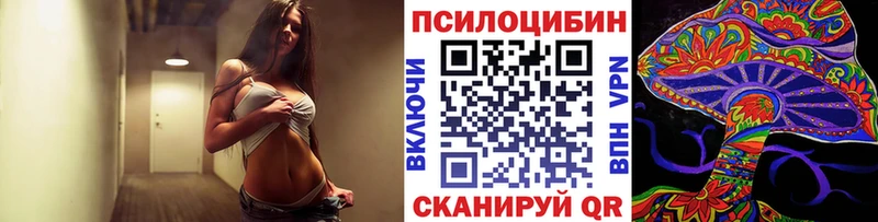 Галлюциногенные грибы Cubensis  Балахна 