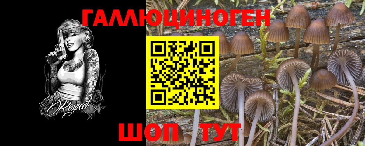 Галлюциногенные грибы GOLDEN TEACHER  Вход с VPN  Галлюциногенные грибы Psilocybe  Балахна 